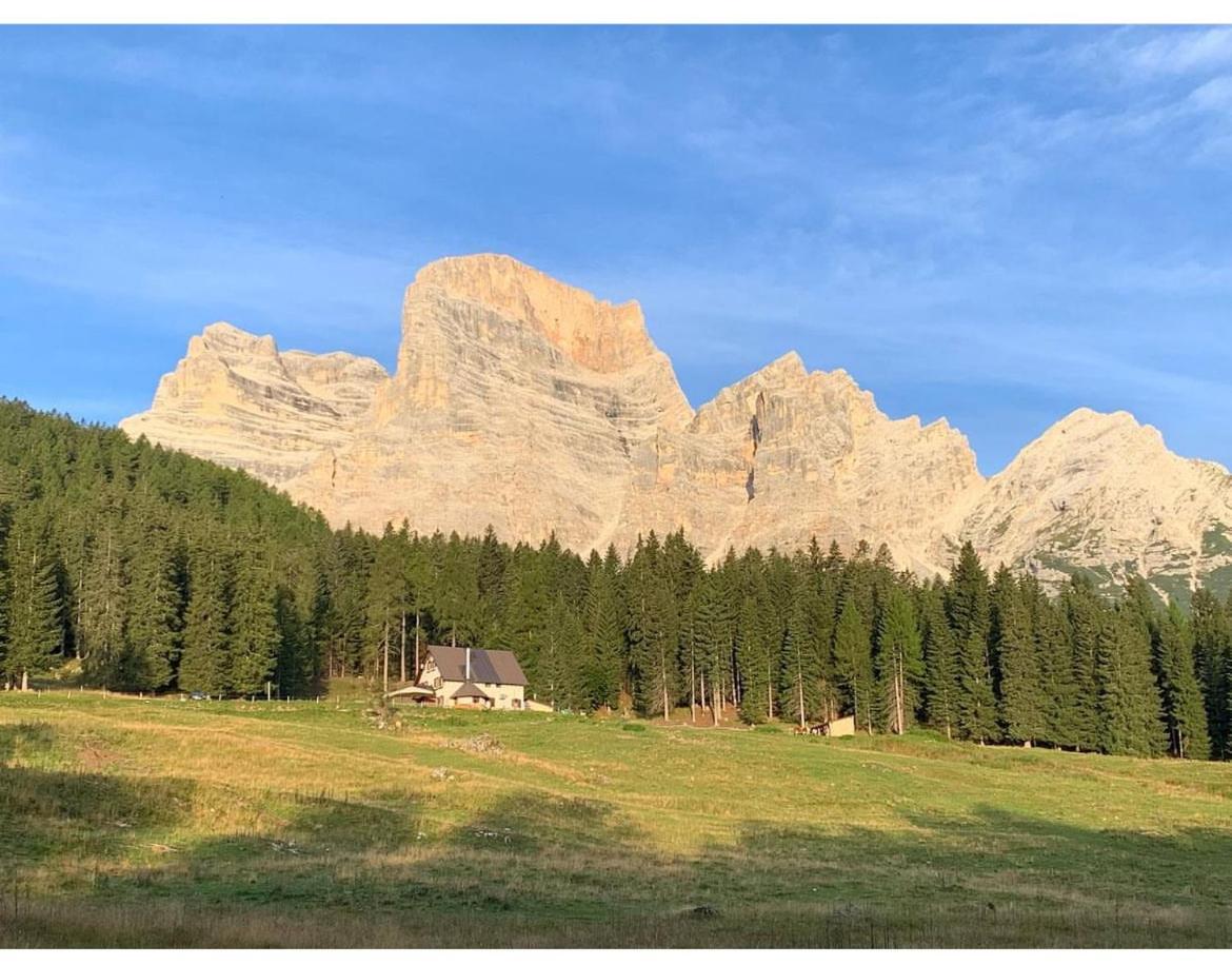 Malga Ciauta Villa Villanova  Exteriör bild